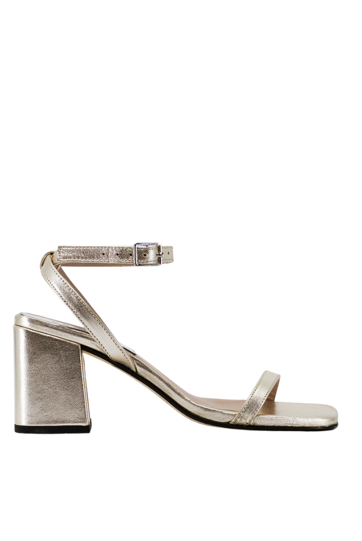 The Elevated Essential | Champagne