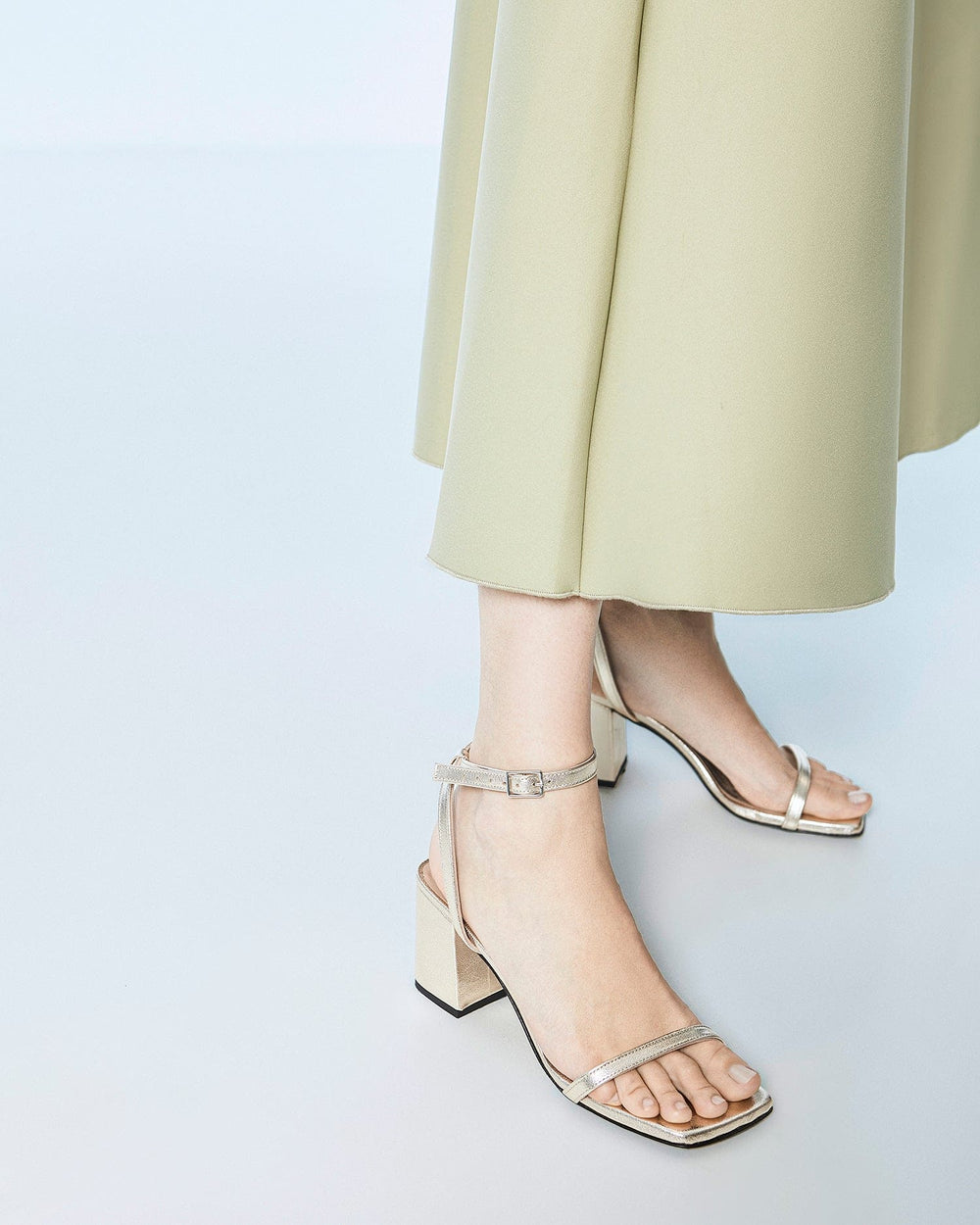 The Elevated Essential | Champagne