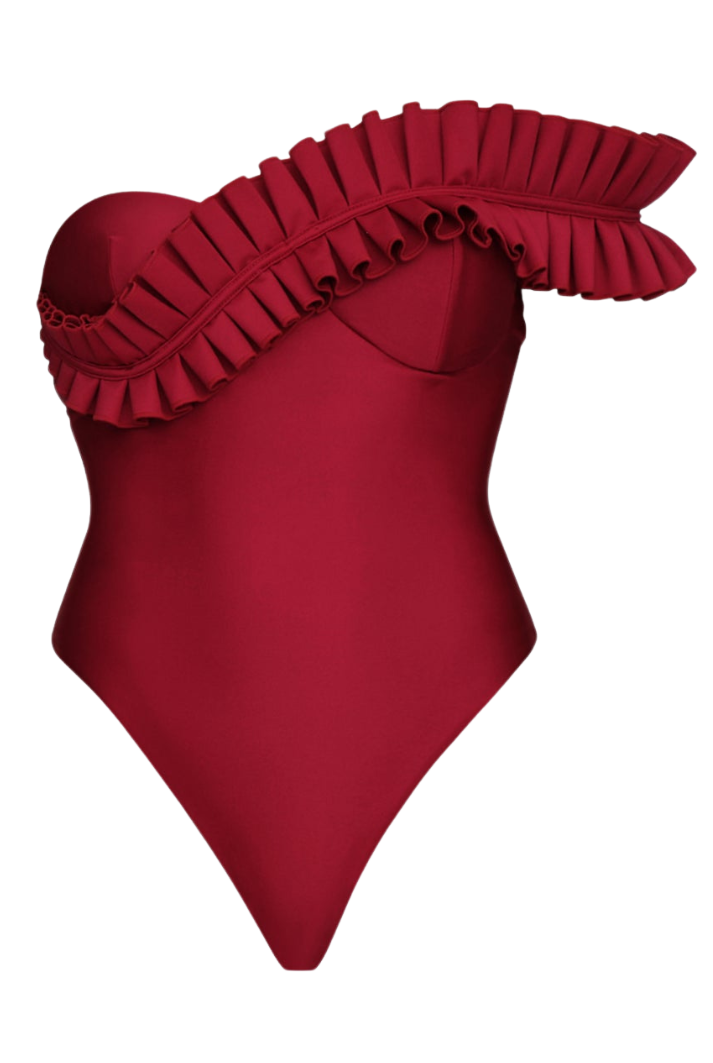 Nisi Wine One Piece Swimsuit