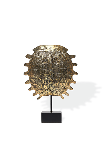 Bronze Turtle Shell