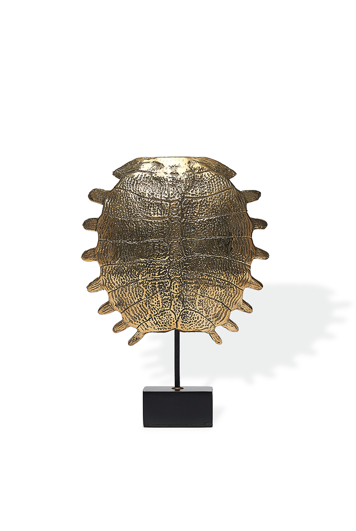Bronze Turtle Shell