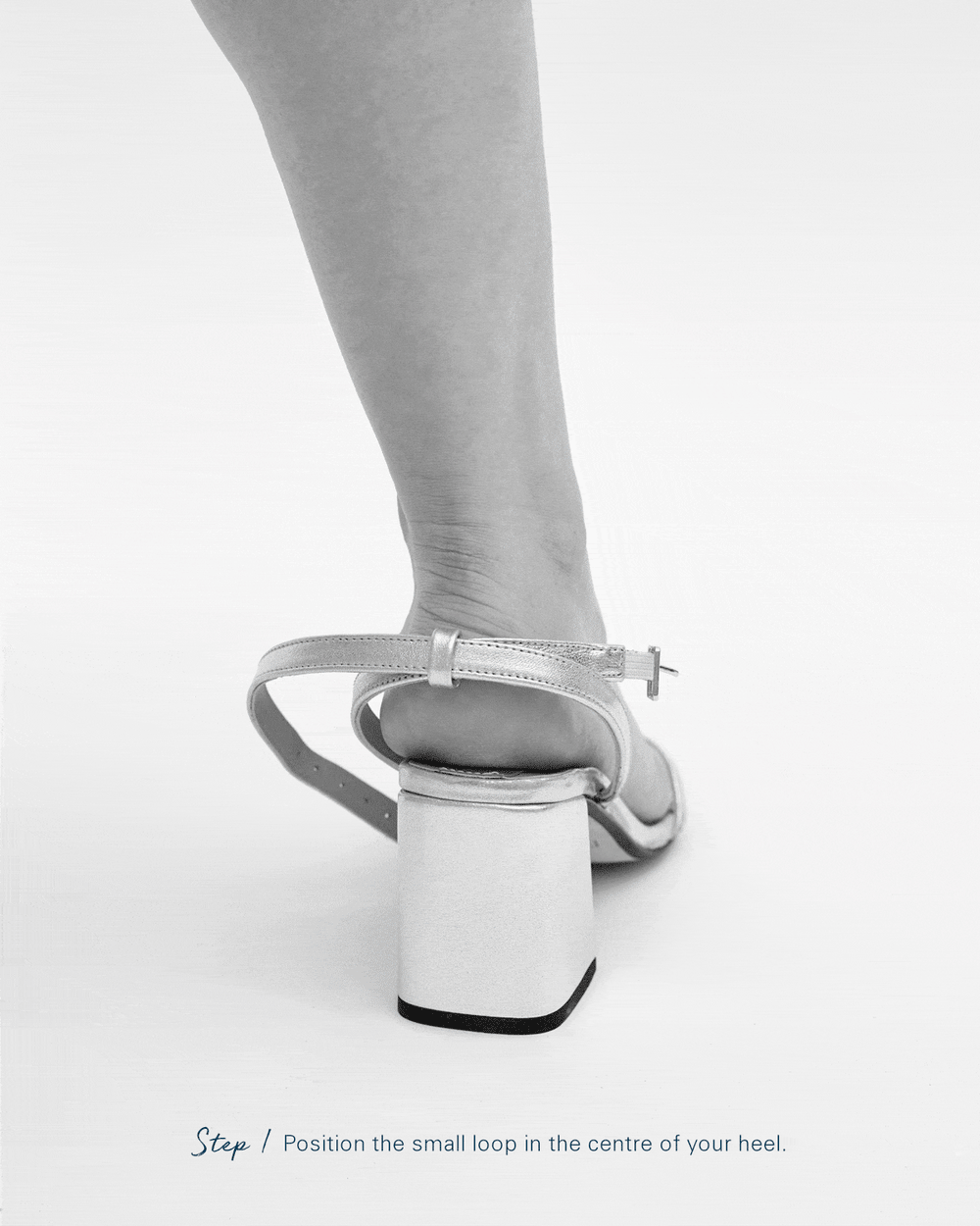 The Elevated Essential | Champagne