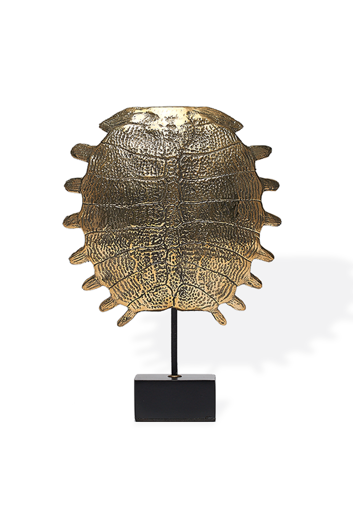 Bronze Turtle Shell