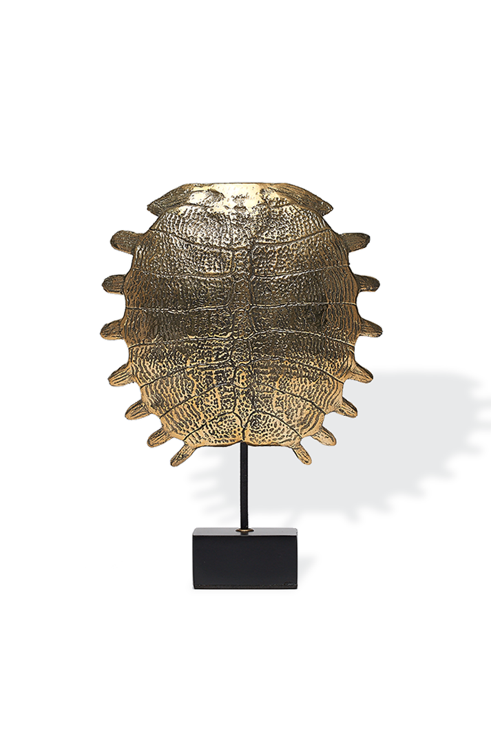 Bronze Turtle Shell
